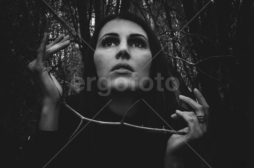 в терновнике