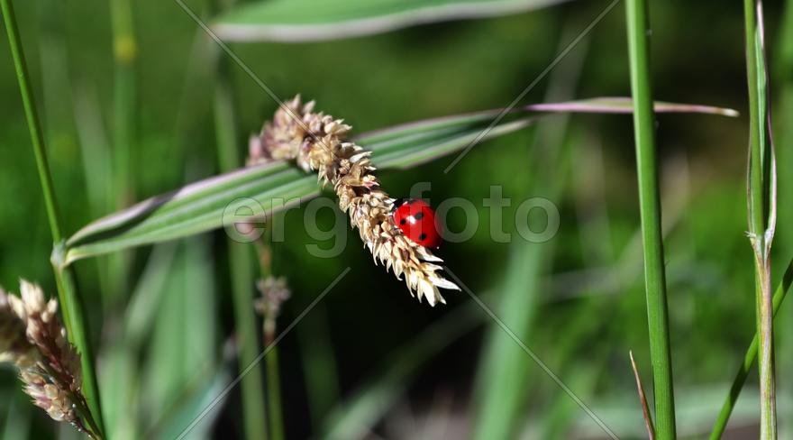 не скрыться
