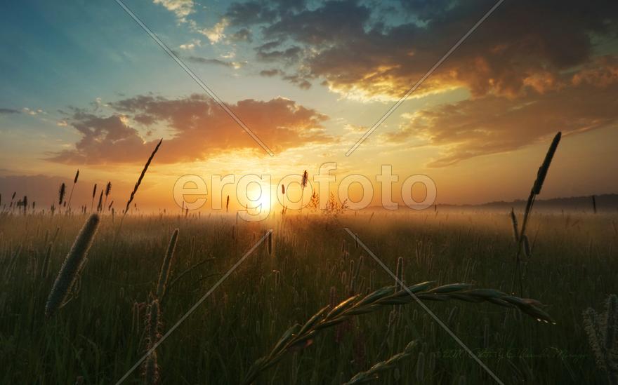 Закатно - полевая