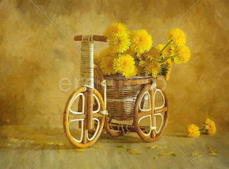 Одуванчики