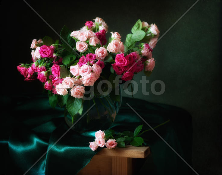 Натюрморт с кустовой розой