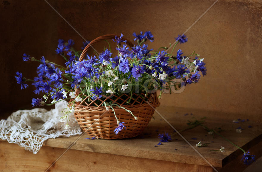 Летнее настроение