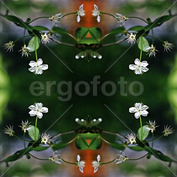 Коллаж, текстура