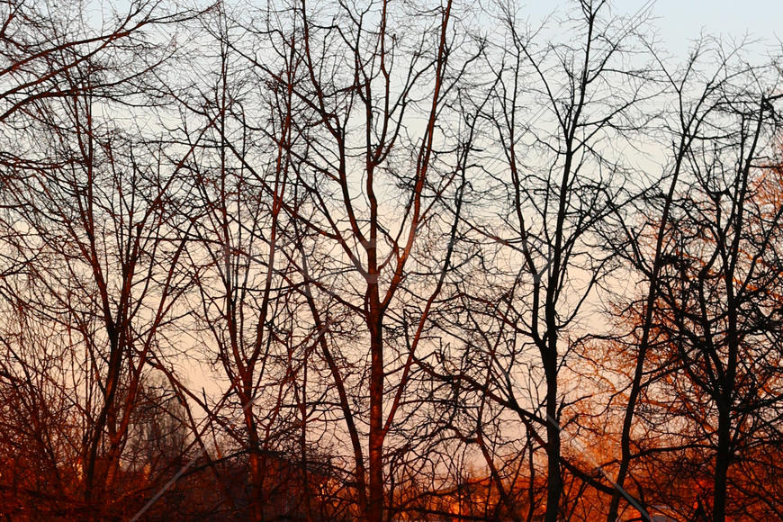 День проходит