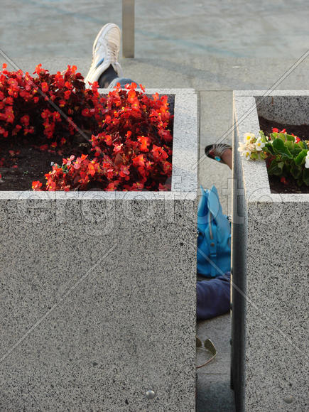 Клумбы в центре города