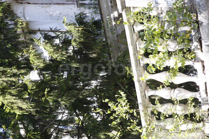 Зелень и архитектура