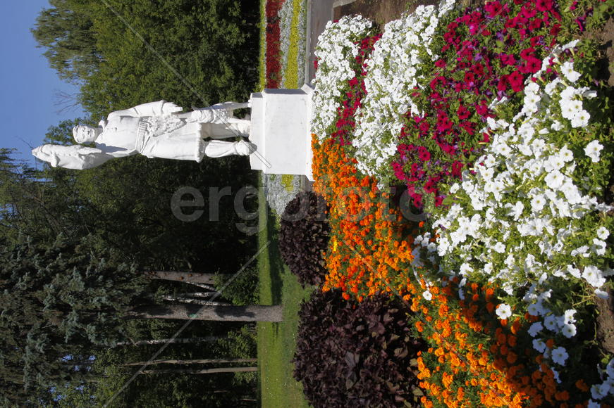 ВДНХ. Цветы