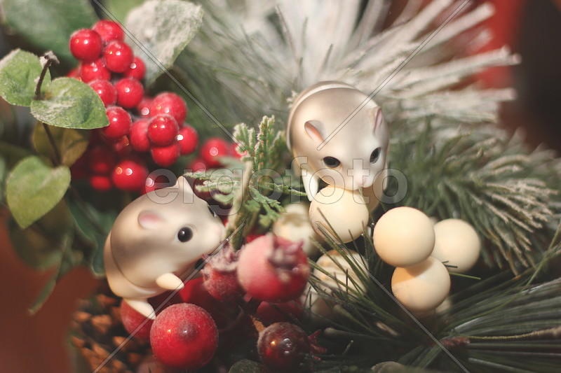 Завтрак хомяков 