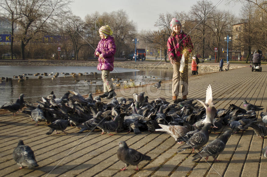 Девочки и голуби