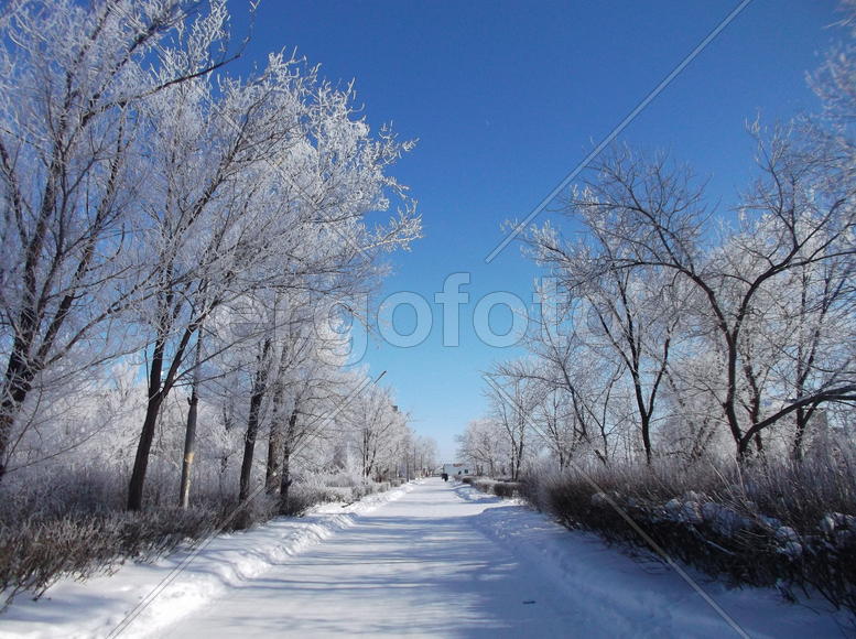 Зимушка-Зима