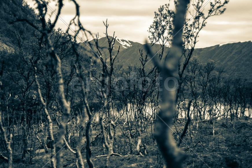 Норвегия Лофотенские острова