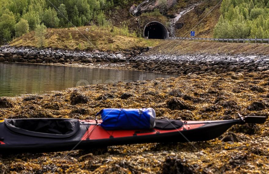 Дикая Норвегия