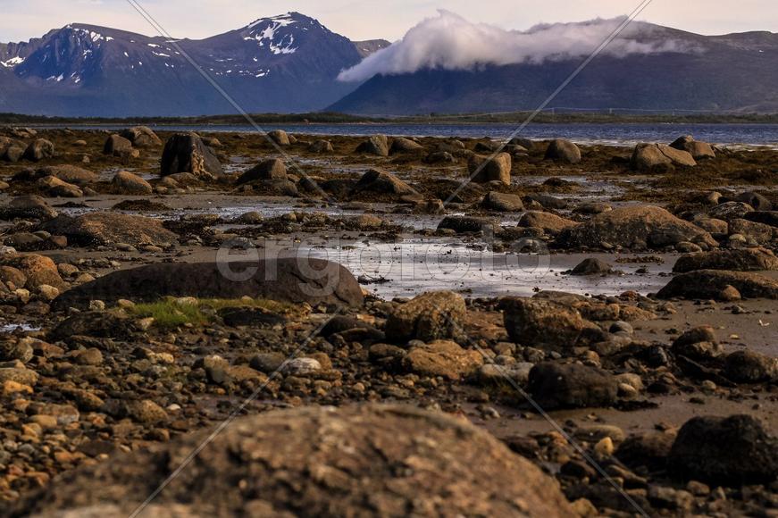 Дикая Норвегия