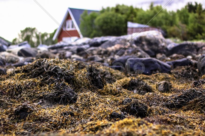 Норвегия Лофотенские острова