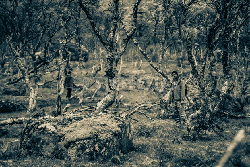 Человек и природа