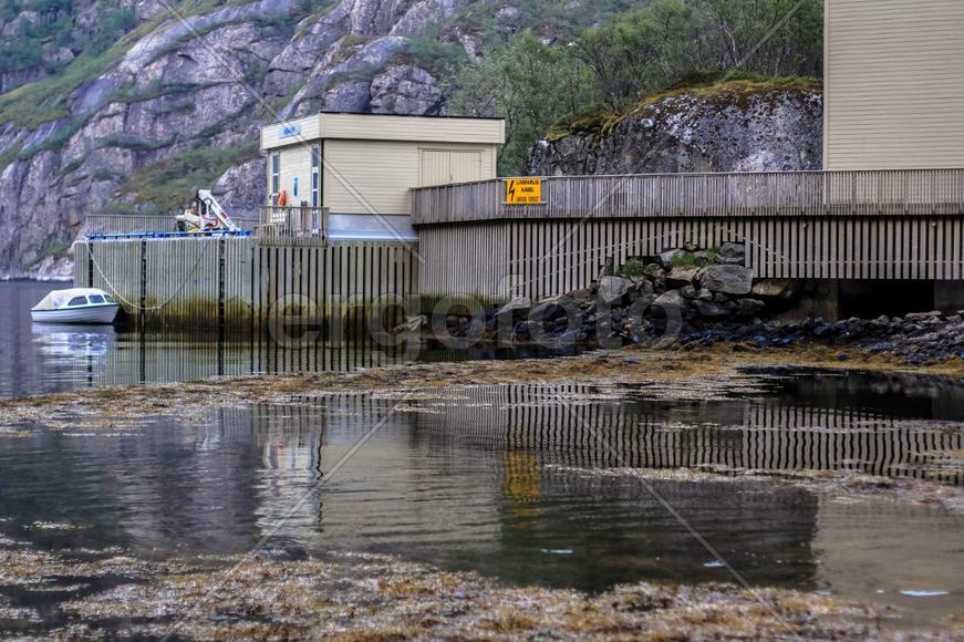 Дикая Норвегия 