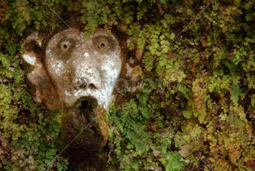 Вилла д`Эсте 05