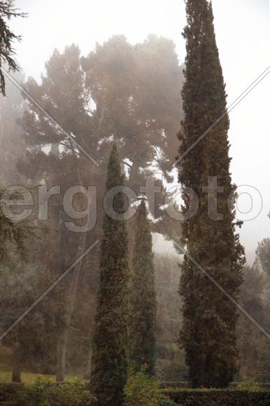 Вилла д`Эсте 02