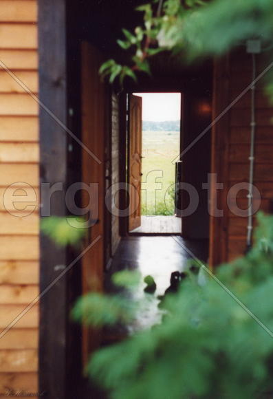 Перспектива