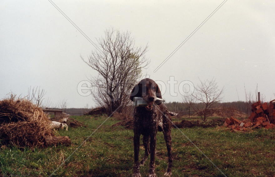 Опять за вами убирать...