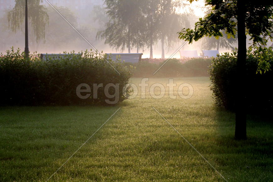 Утро в парке.