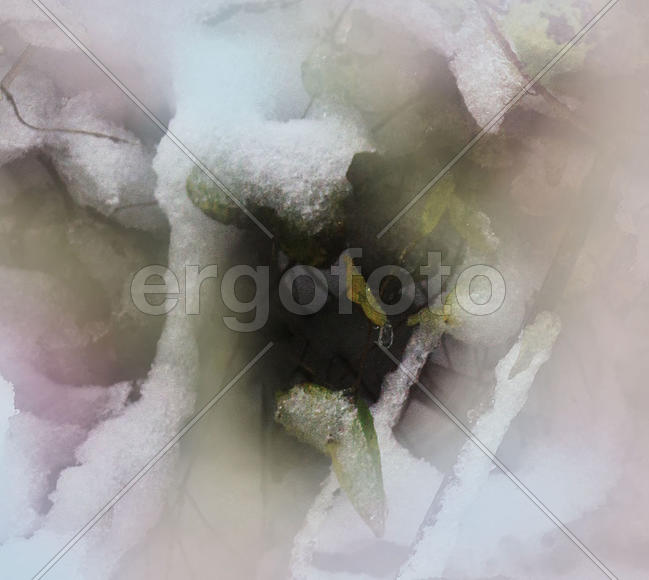 Зимний этюд