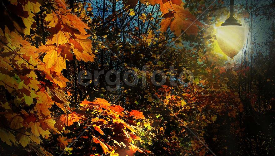 Осенний пейзаж