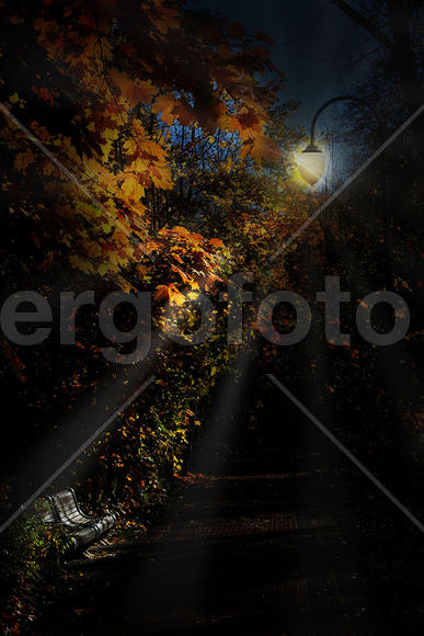 фонарь в парке