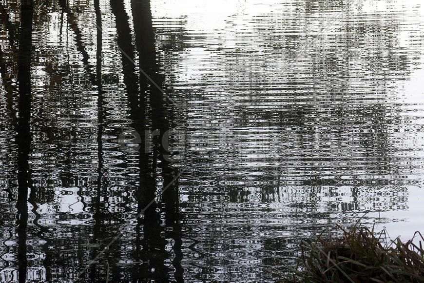 Пейзаж - отражение