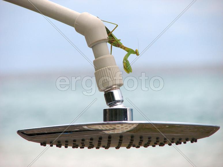 А может душ принять...?