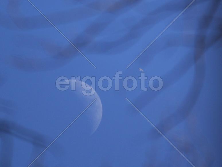 луна и чайка