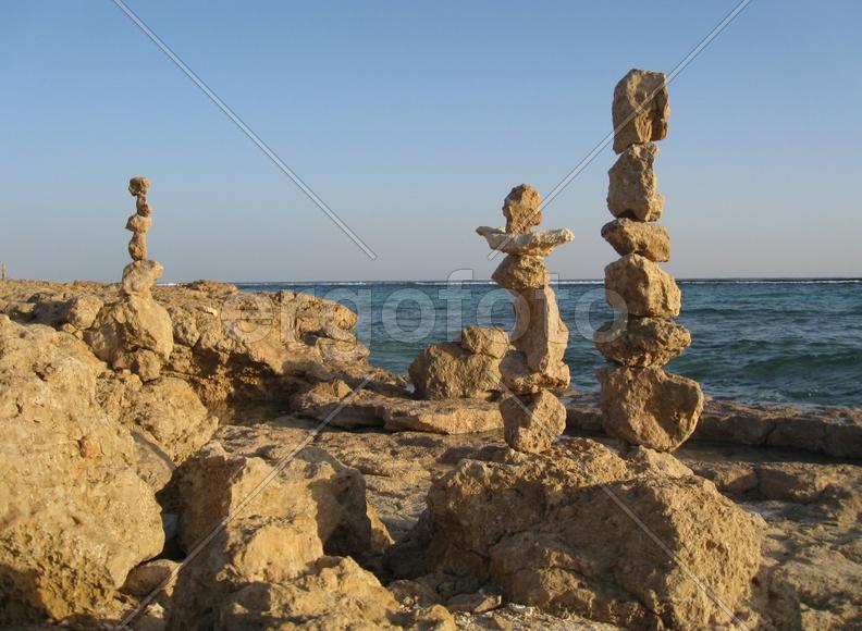 465322_15_14_13_IMG_2133