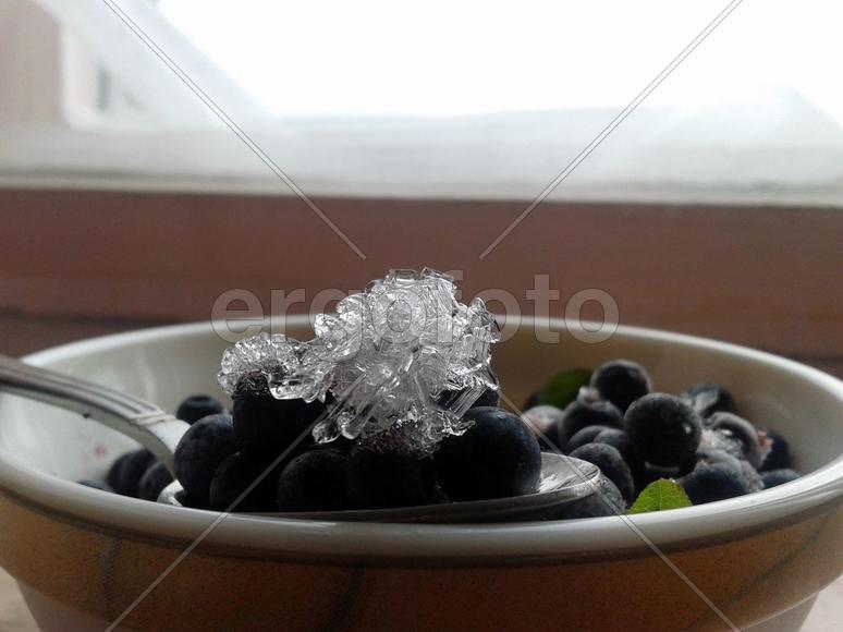 Черника в инее