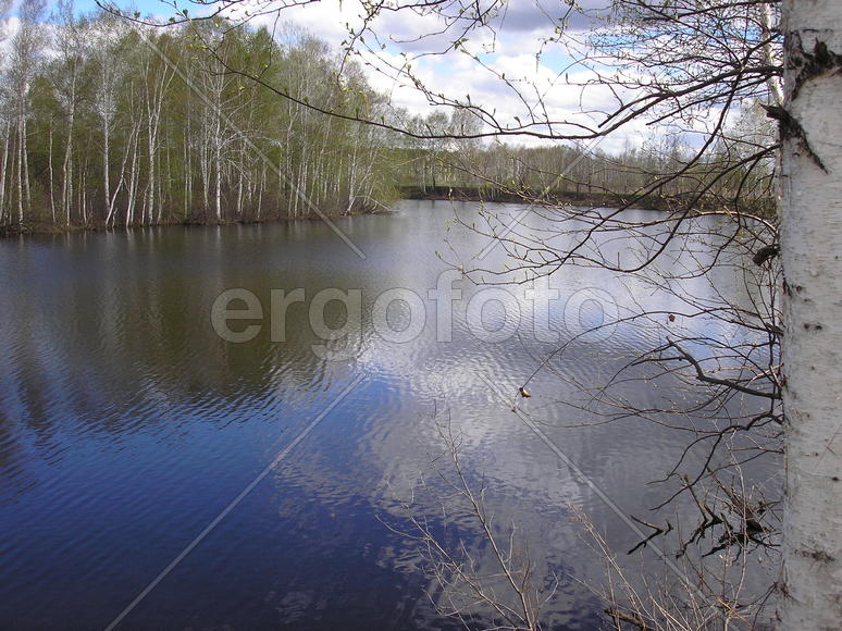 голубая гладь  озера