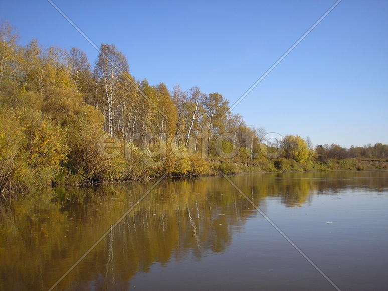 золото осени