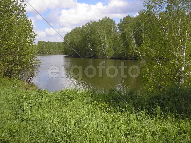 Гляжу в озера синие...