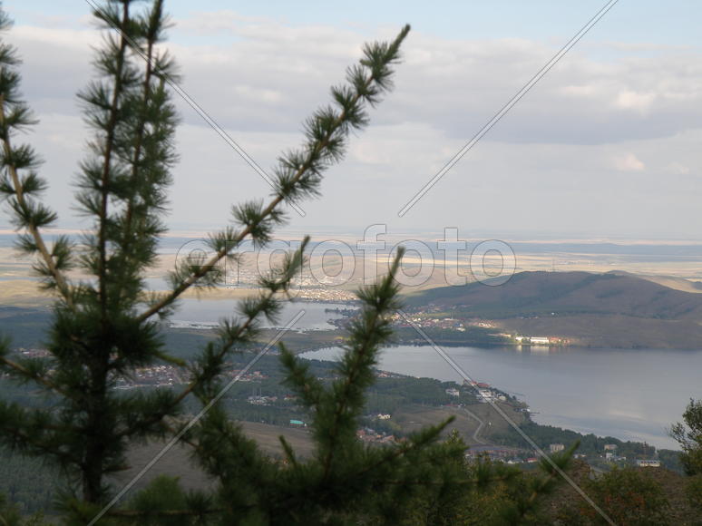 Лиственница на фоне озёр 