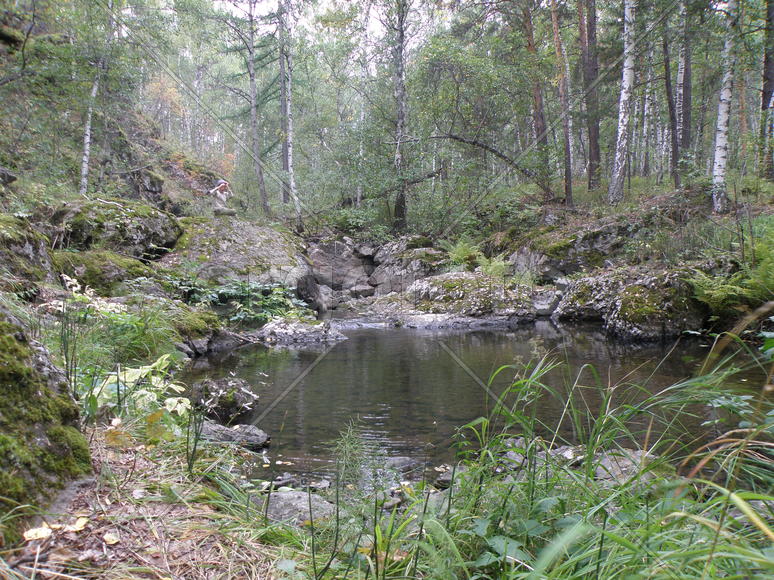 Озеро в лесу