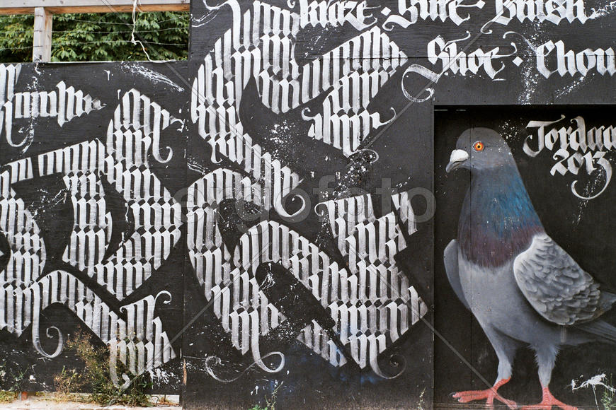 Граффити "Голубь"