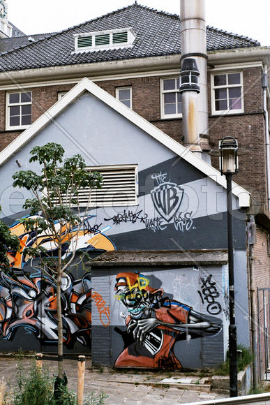 Negative0-29-09(2)_web