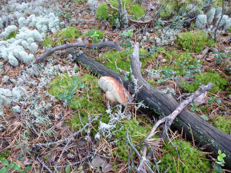 Вот это характер!