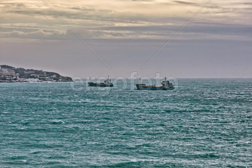 Рыболовные суда Новороссийска