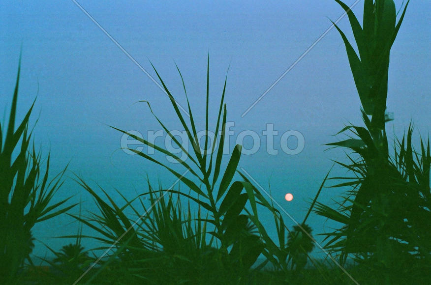 Мы ехали домой