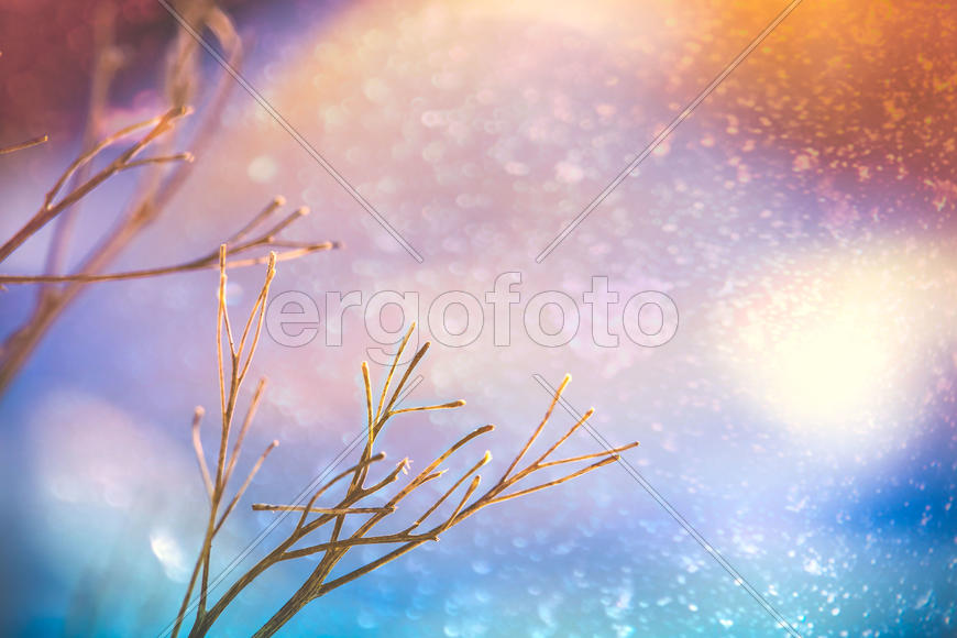 Зимняя сказка