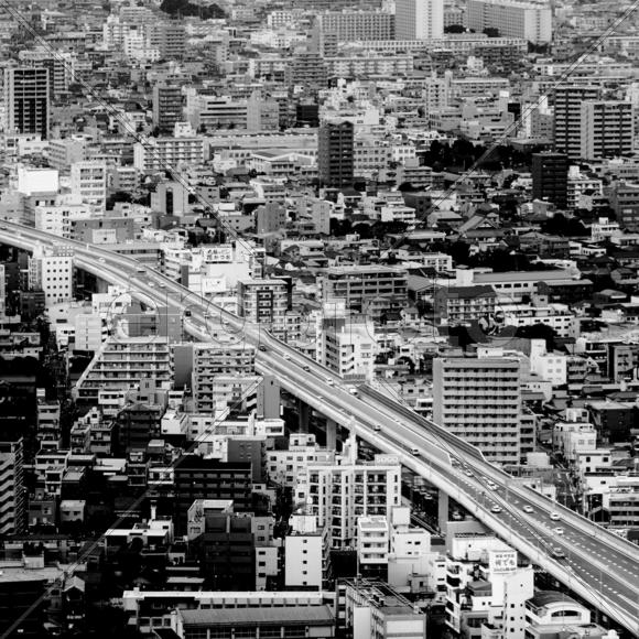 Муравейник