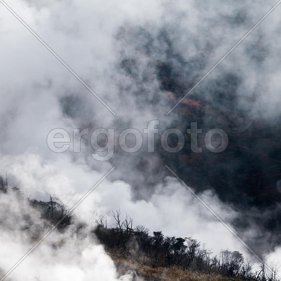 Серный источник