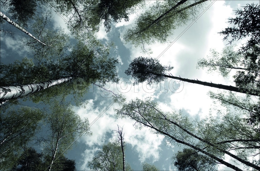 Россия. Подмосковье