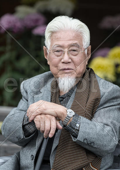 Современный самурай