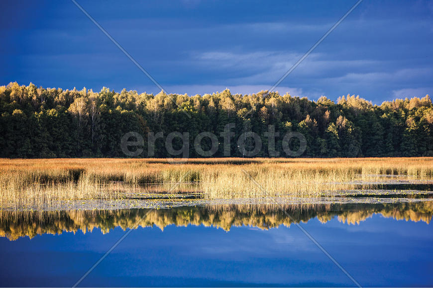 Бескрайняя синева