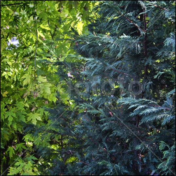 Цветное смешение